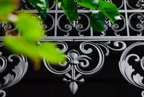 Kozyrek Nizhniy Novgorod kafe Gus v yablokakh (1).jpg